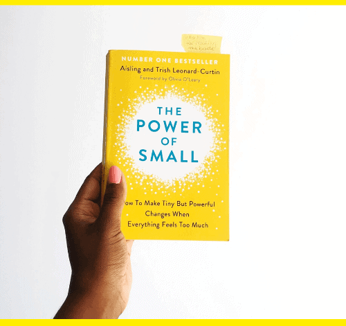 The Power Of Small By Aisling And Trish Leonard-Curtin - Book Review Summary